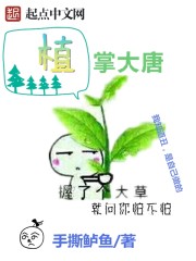 稳健修仙，整个修仙界都是我家